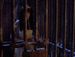 extant_XWP_3x09-WarriorPriestessTramp_003239