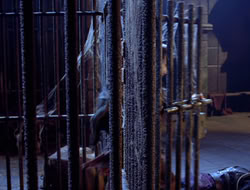 extant_XWP_3x09-WarriorPriestessTramp_003269