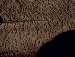 extant_XWP_3x09-WarriorPriestessTramp_003661