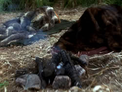 extant_XenaWarriorPrincess_3x10-TheQuillIsMightier_00324