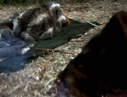 extant_XenaWarriorPrincess_3x10-TheQuillIsMightier_00325