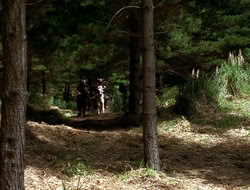 extant_XenaWarriorPrincess_3x10-TheQuillIsMightier_00332