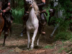 extant_XenaWarriorPrincess_3x10-TheQuillIsMightier_00338