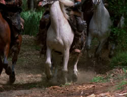 extant_XenaWarriorPrincess_3x10-TheQuillIsMightier_00339