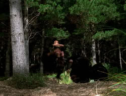 extant_XenaWarriorPrincess_3x10-TheQuillIsMightier_00428