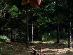extant_XenaWarriorPrincess_3x10-TheQuillIsMightier_00451
