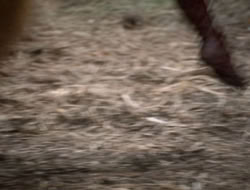 extant_XenaWarriorPrincess_3x10-TheQuillIsMightier_00455