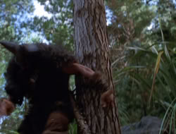 extant_XenaWarriorPrincess_3x10-TheQuillIsMightier_00474