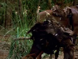 extant_XenaWarriorPrincess_3x10-TheQuillIsMightier_00481