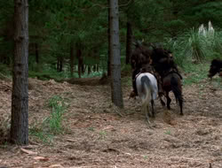 extant_XenaWarriorPrincess_3x10-TheQuillIsMightier_00489