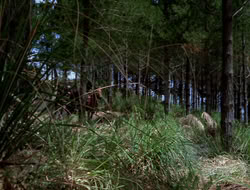 extant_XenaWarriorPrincess_3x10-TheQuillIsMightier_00821