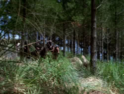 extant_XenaWarriorPrincess_3x10-TheQuillIsMightier_00822