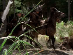 extant_XenaWarriorPrincess_3x10-TheQuillIsMightier_00829