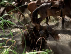 extant_XenaWarriorPrincess_3x10-TheQuillIsMightier_00830