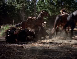 extant_XenaWarriorPrincess_3x10-TheQuillIsMightier_00831