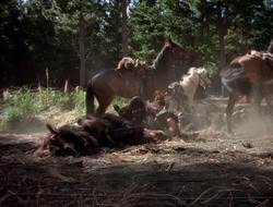 extant_XenaWarriorPrincess_3x10-TheQuillIsMightier_00832