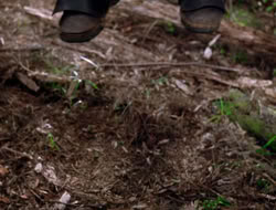 extant_XenaWarriorPrincess_3x10-TheQuillIsMightier_00980