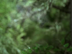 extant_XenaWarriorPrincess_3x10-TheQuillIsMightier_01025