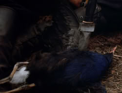 extant_XenaWarriorPrincess_3x10-TheQuillIsMightier_01730