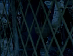 extant_XenaWarriorPrincess_3x10-TheQuillIsMightier_02275