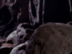 extant_XenaWarriorPrincess_3x10-TheQuillIsMightier_02811