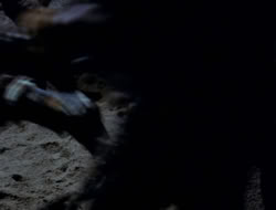extant_XenaWarriorPrincess_3x10-TheQuillIsMightier_02876