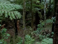 extant_XenaWarriorPrincess_3x10-TheQuillIsMightier_03001