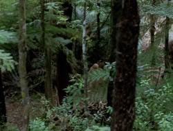 extant_XenaWarriorPrincess_3x10-TheQuillIsMightier_03004