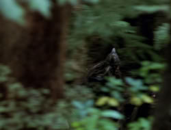 extant_XenaWarriorPrincess_3x10-TheQuillIsMightier_03005