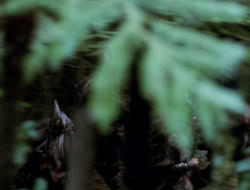 extant_XenaWarriorPrincess_3x10-TheQuillIsMightier_03006