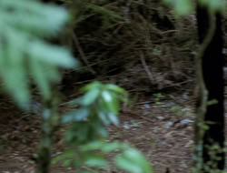 extant_XenaWarriorPrincess_3x10-TheQuillIsMightier_03009