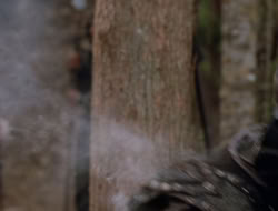 extant_XenaWarriorPrincess_3x10-TheQuillIsMightier_03022