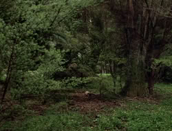 extant_XenaWarriorPrincess_3x10-TheQuillIsMightier_03331