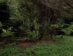 extant_XenaWarriorPrincess_3x10-TheQuillIsMightier_03334