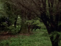 extant_XenaWarriorPrincess_3x10-TheQuillIsMightier_03335
