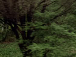 extant_XenaWarriorPrincess_3x10-TheQuillIsMightier_03336