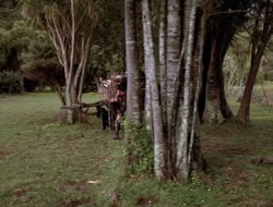 extant_XenaWarriorPrincess_3x10-TheQuillIsMightier_03355