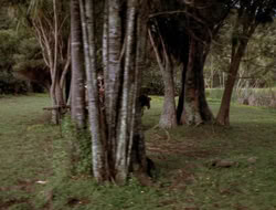extant_XenaWarriorPrincess_3x10-TheQuillIsMightier_03356