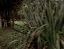 extant_XenaWarriorPrincess_3x10-TheQuillIsMightier_03360