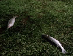 extant_XenaWarriorPrincess_3x10-TheQuillIsMightier_03378