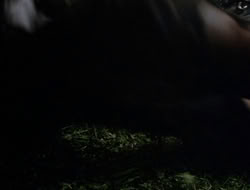 extant_XenaWarriorPrincess_3x10-TheQuillIsMightier_03379