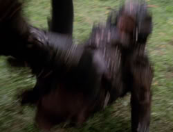 extant_XenaWarriorPrincess_3x10-TheQuillIsMightier_03605