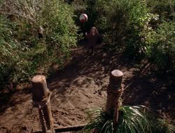3x11-MaternalInstincts_000209
