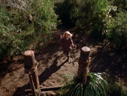 3x11-MaternalInstincts_000212