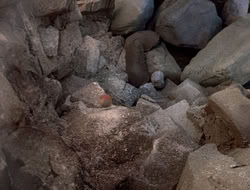 3x11-MaternalInstincts_000219