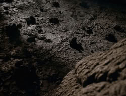 3x11-MaternalInstincts_000227