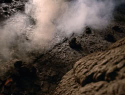 3x11-MaternalInstincts_000233