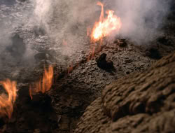 3x11-MaternalInstincts_000234