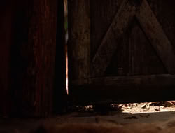 3x11-MaternalInstincts_000777