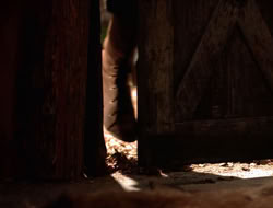 3x11-MaternalInstincts_000778